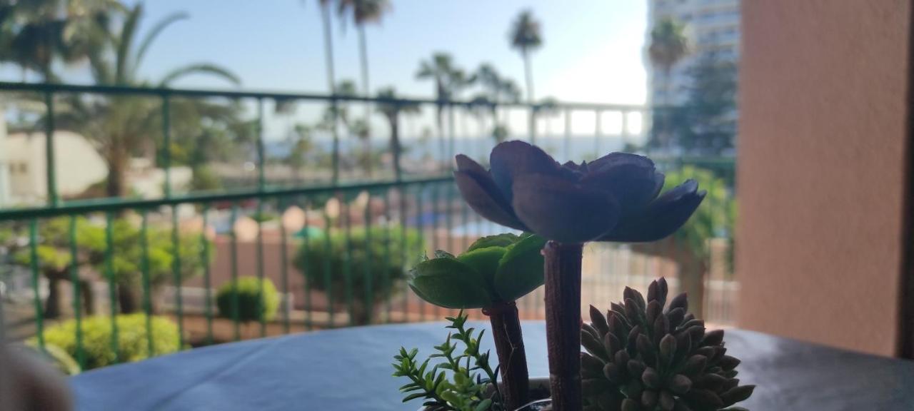Acapulco Paradise ปลายา ฟัญญาเบ ภายนอก รูปภาพ